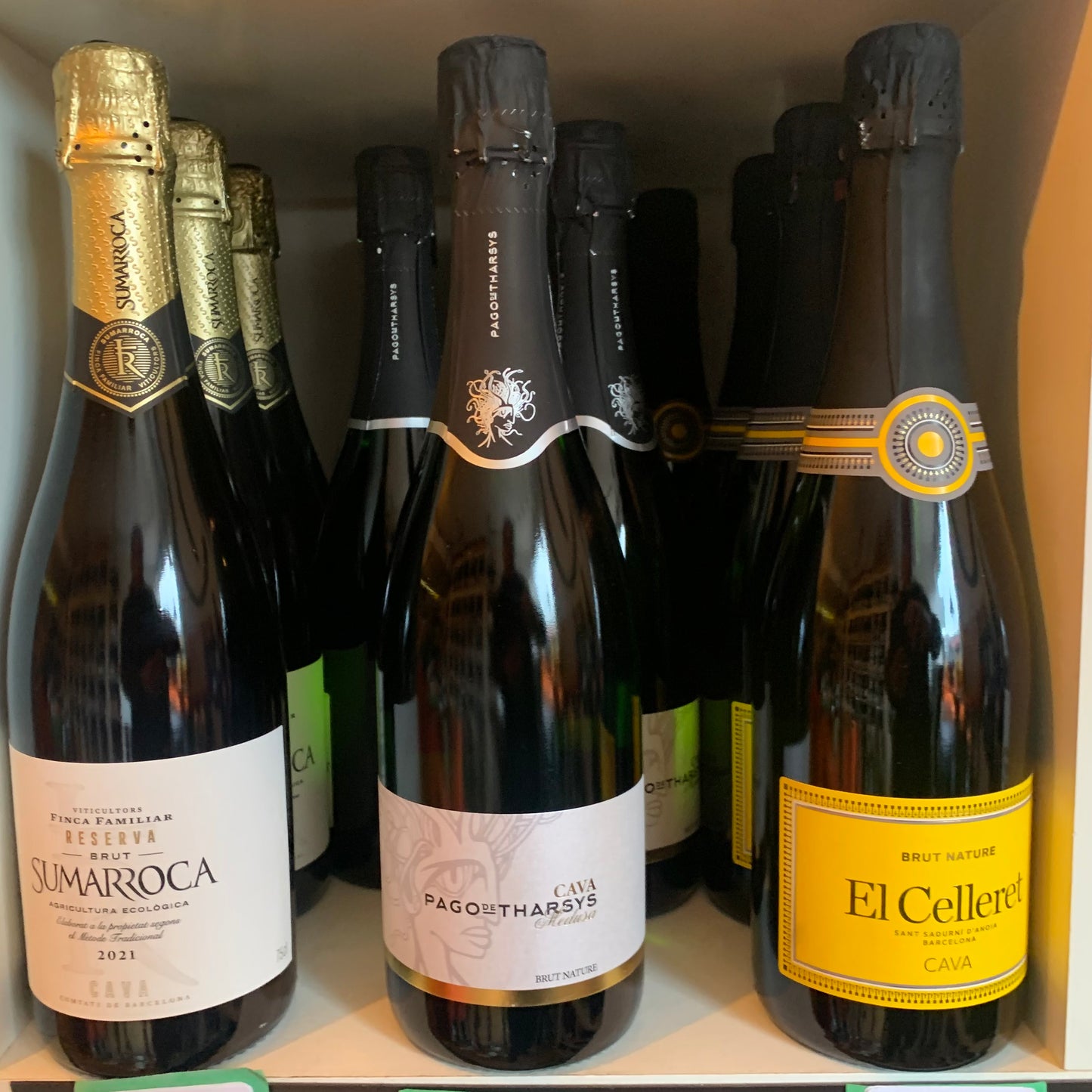 Cava Discovery 3 pack