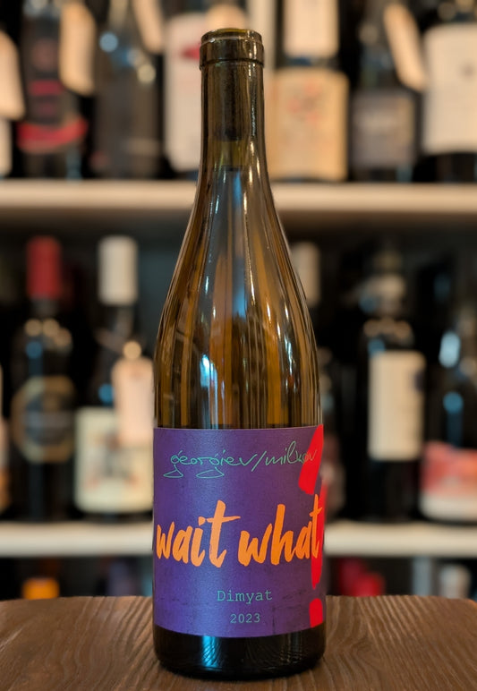 Georgiev/Milkov, Wait What Orange Dimyat 2023, Thracian Valley, Bulgaria